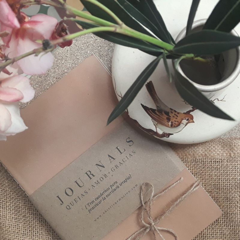 Journals-escritura-terapia-