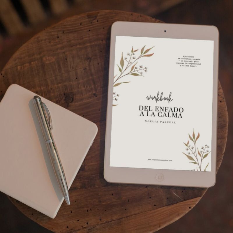 pdf-workbook-del-enfado-a-la-calma