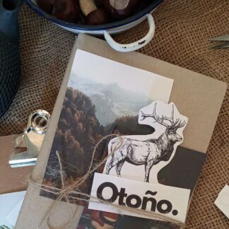 workbook journal otoño